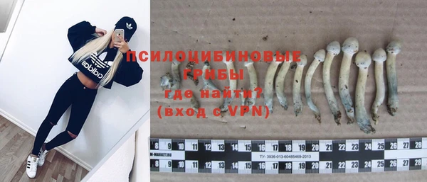 прущий лед Арсеньев