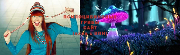 прущий лед Арсеньев
