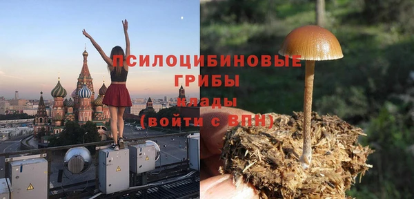 прущий лед Арсеньев