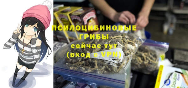прущий лед Арсеньев