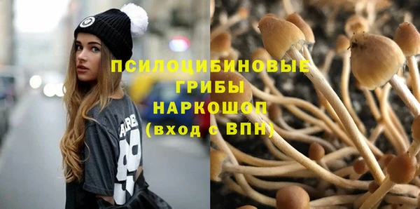 прущий лед Арсеньев