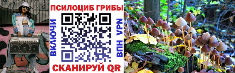 Псилоцибиновые грибы Cubensis  сколько стоит  Урень 